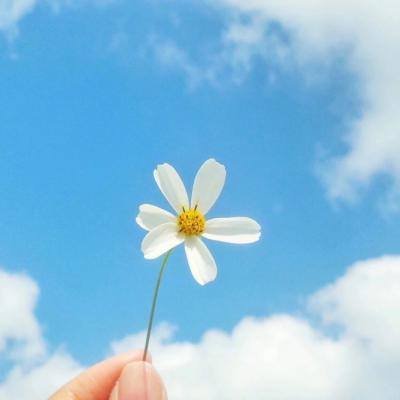 im电竞平台下载手机版