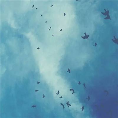 kdpay钱包下载安卓版