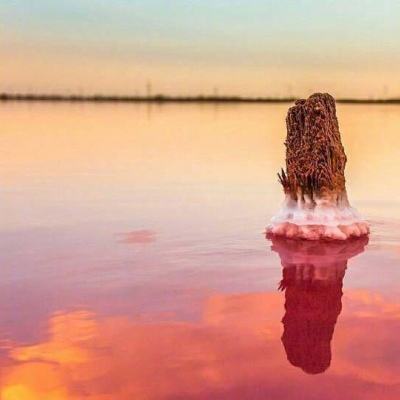 亚博app手机截图