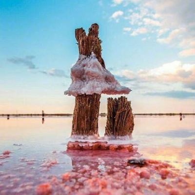 乐鱼彩票官网app下载