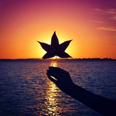 2023澳门资料大全正版手机app下载