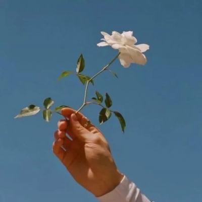 免费的行情网站app