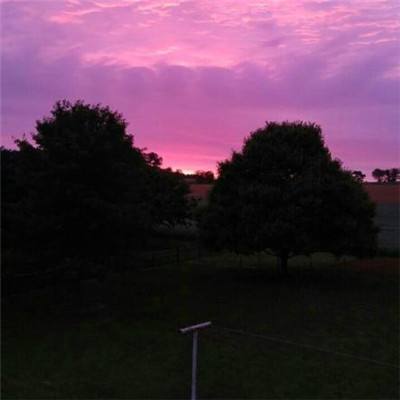 998娱乐彩票安卓APP