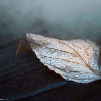 b体育官方体育截图