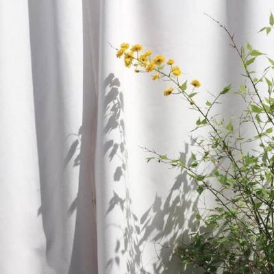 2023澳门资料大全正版下载手机版截图